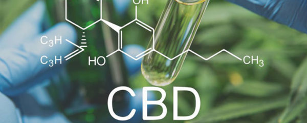 Bienfaits du CBD