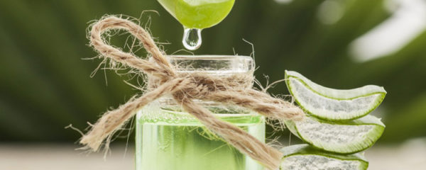 gel d'aloe vera