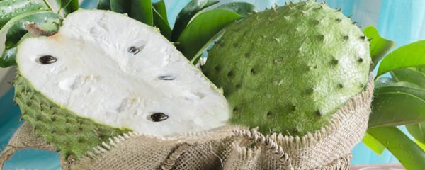 Graviola Corossol